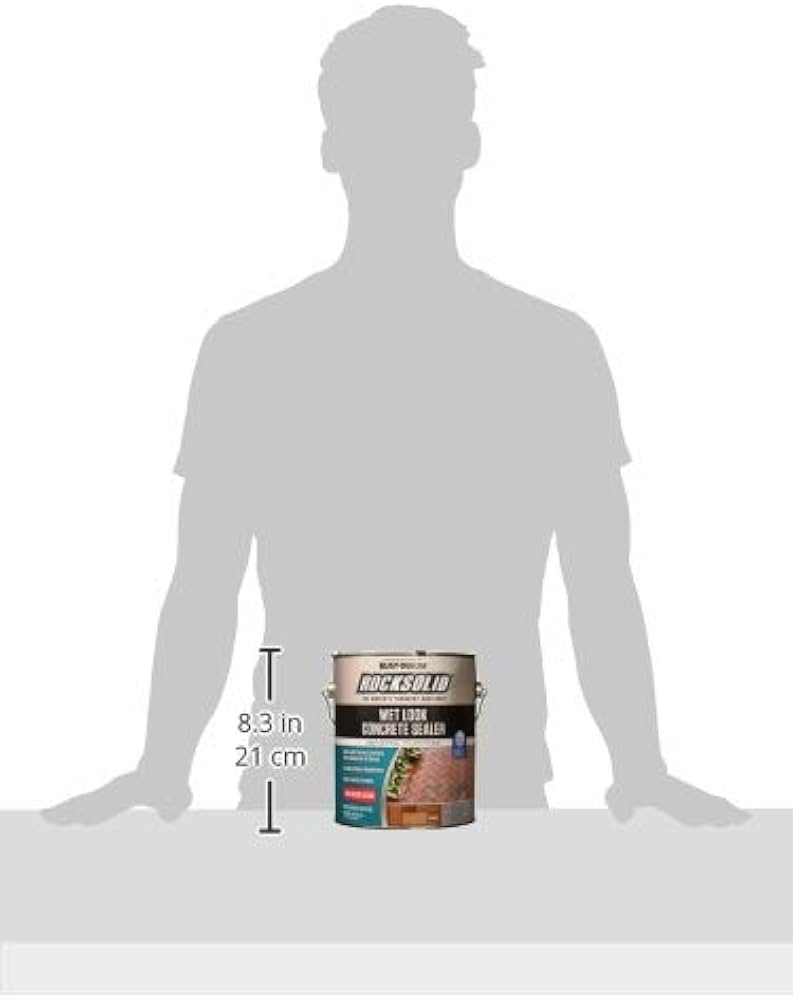 sk　dlo1 us9.5 270mm Rustoleum 317927 1 Gallon Rocksolid Wet Look Concrete